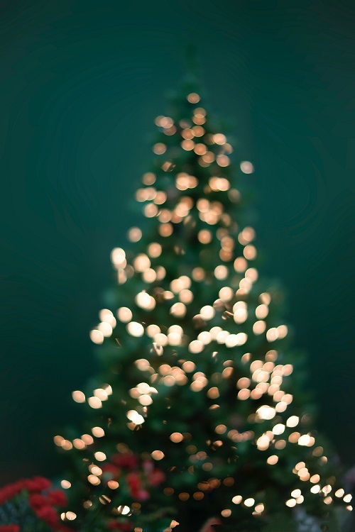Blurred out Christmas Tree with lights