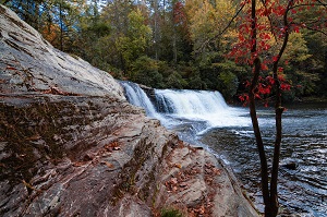 waterfall with trees behind it and rock ledge in front of it